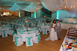 Uplighting image #12