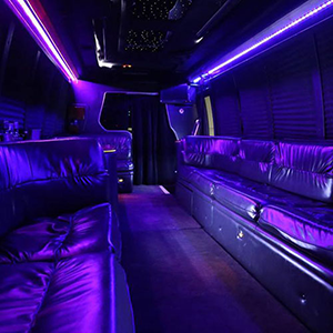Party bus image